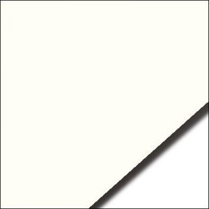 Rising Museum Board - 4 Ply - Antique (32" X 40")