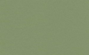 Crescent Mat Board - Papermat - Moss Point Green (32" X 40")