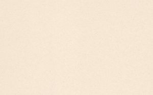 Crescent Mat Board - Papermat - Spice Ivory (32" X 40") *SPECIAL ORDER