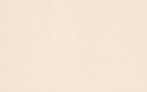Crescent Mat Board - International Whitecore 4 ply - Spice Ivory (40" X 60") *SPECIAL ORDER