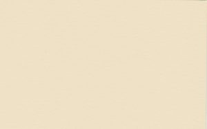 Crescent Mat Board - Ragmat Museum Solids 4 ply - Beige (32" X 40") *SPECIAL ORDER